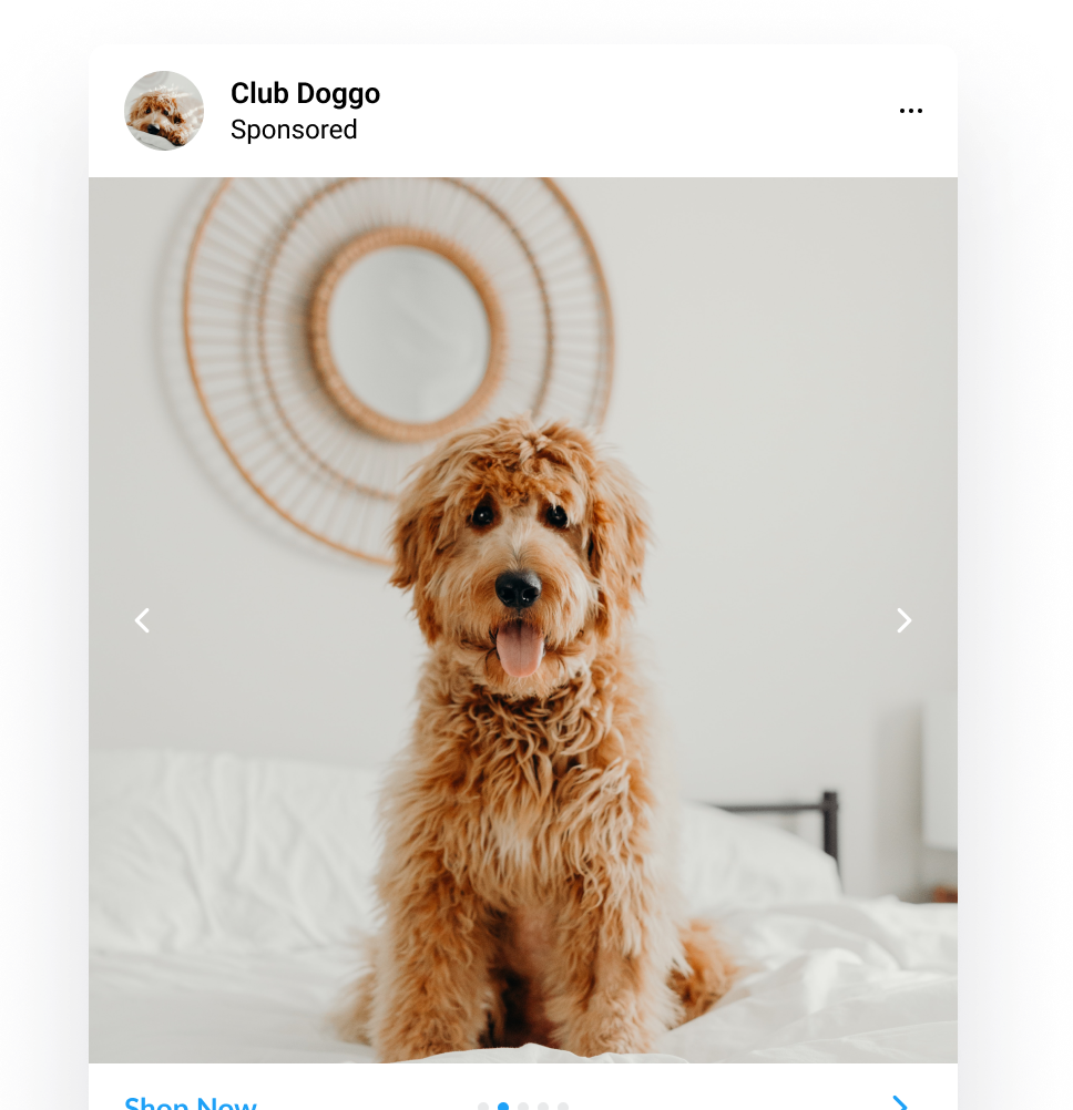 unified-campaign-movement